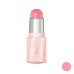 رژگونه استیکی شیگلم